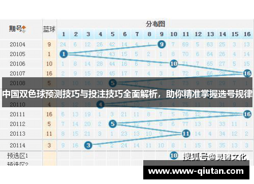 中国双色球预测技巧与投注技巧全面解析，助你精准掌握选号规律